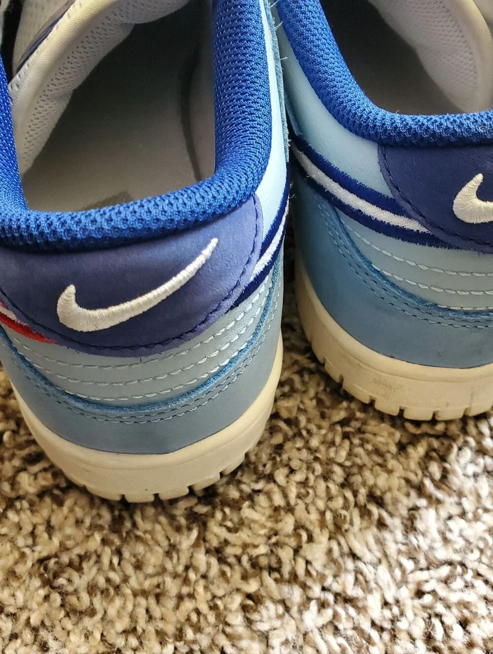 Nike Dunk Low Shoes